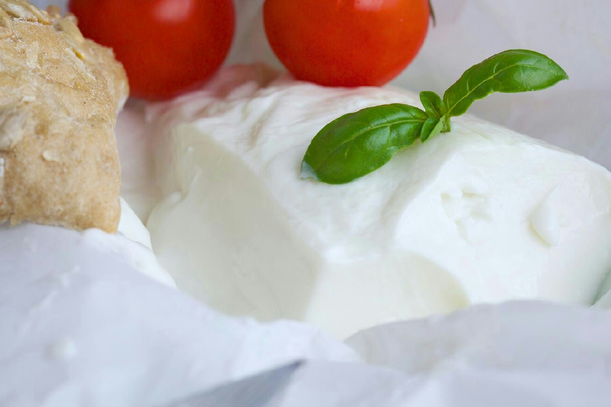 Il dolce cremoso e avvolgente che unisce tradizione e sapore unico in ogni cucchiaio