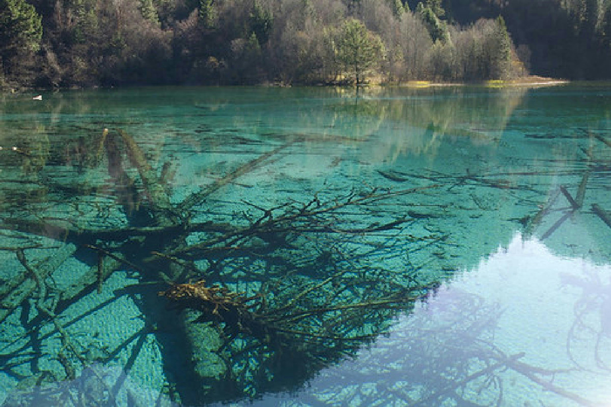 Il lago che cambia colore tra primavera e inverno offre uno spettacolo naturale unico e affascinante